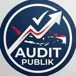 auditpublik