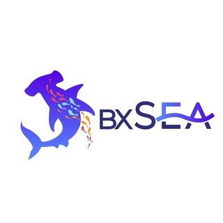 bxsea_official