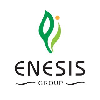 enesisgroup