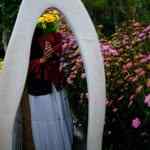 haerni_nrc14