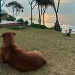 haziemmn