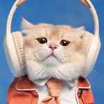 kiwibritishcat