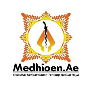 medhioen.ae