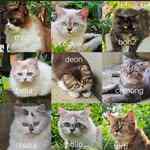 miu.family9