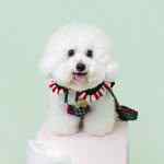 princess_luna_bichon