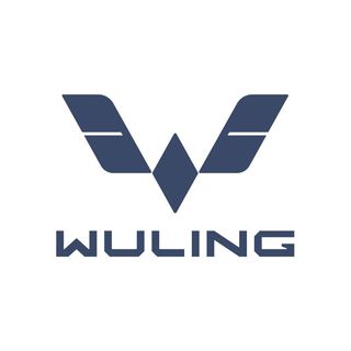 wulingev_id