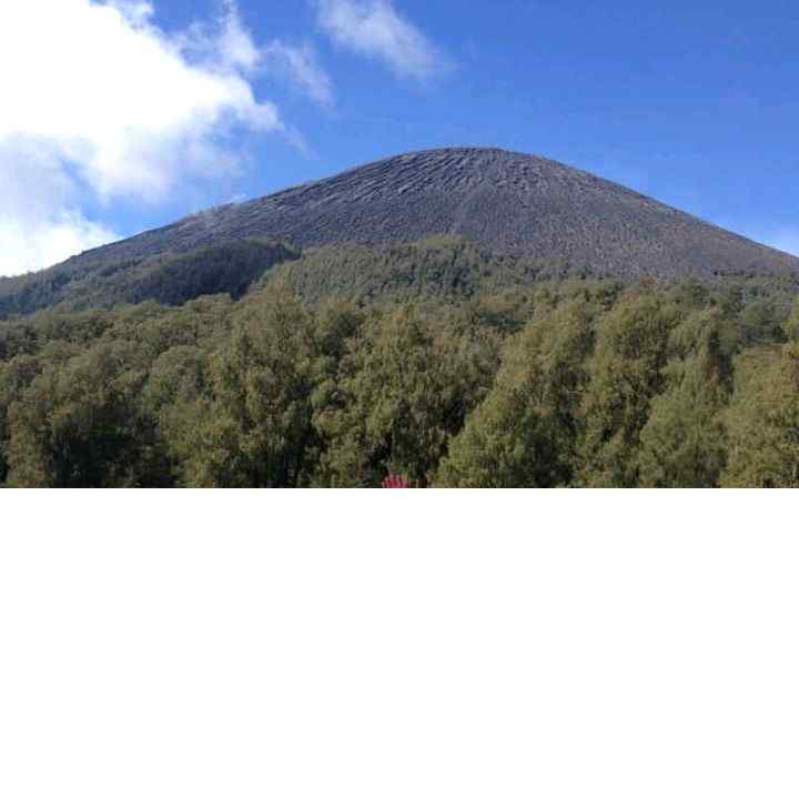 anggiekusworo1