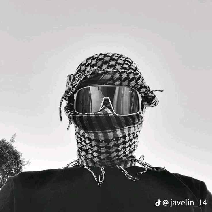 haloteman449