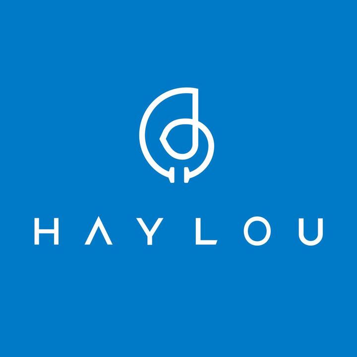 haylouofficial