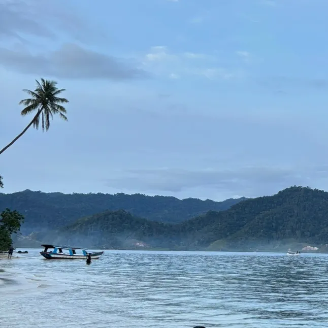 hidupsantaiyuk