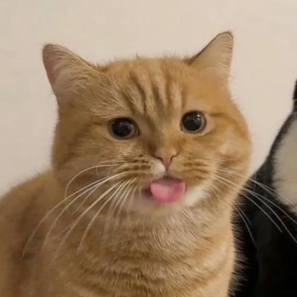 igdzintaamelia2