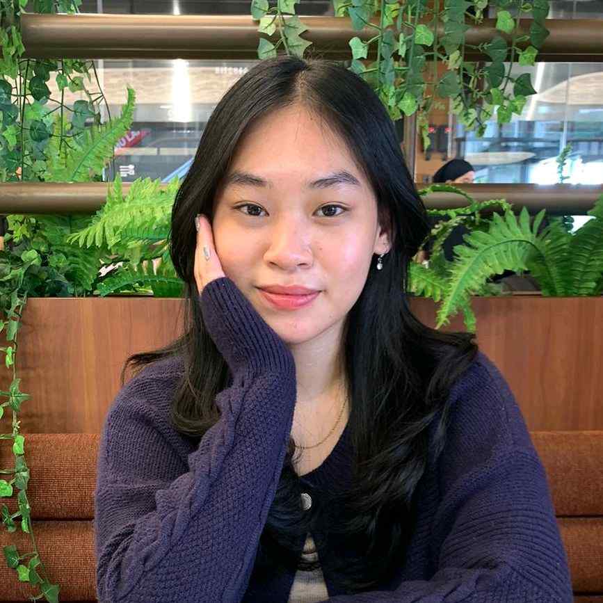 ilexayou