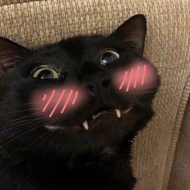 istrinyasugalagijualan