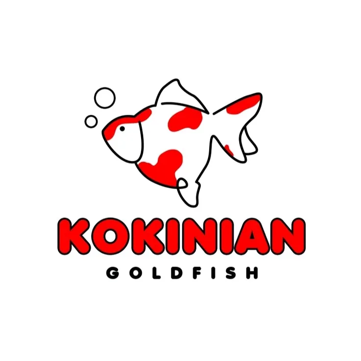 kokinian_goldfish19