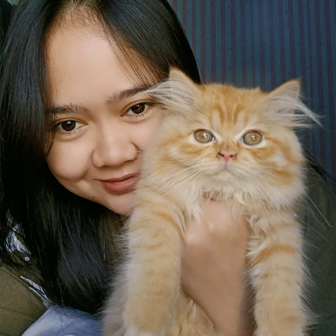 kucingmilu