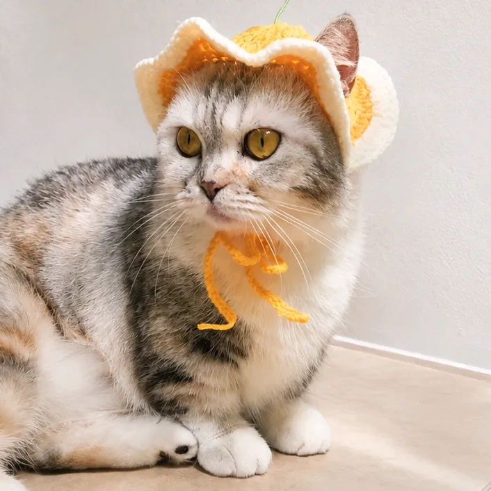 loliandthecats