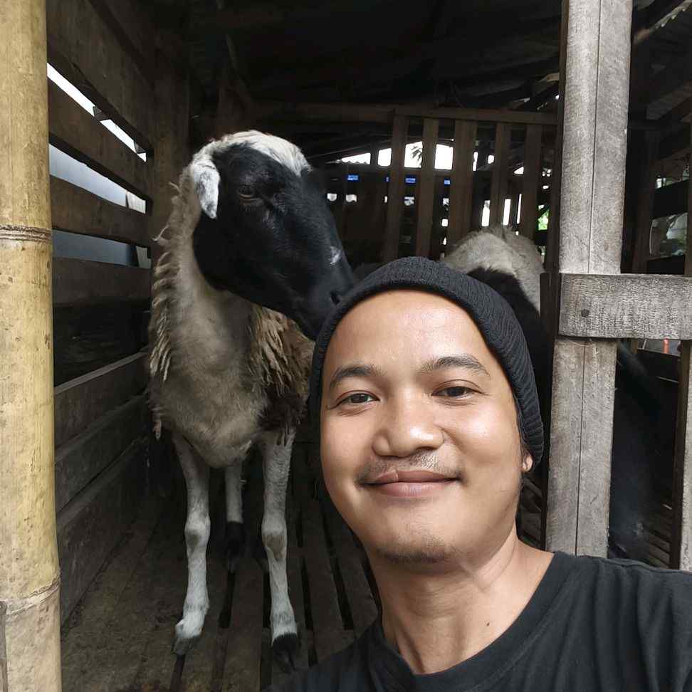 manbaululumstore