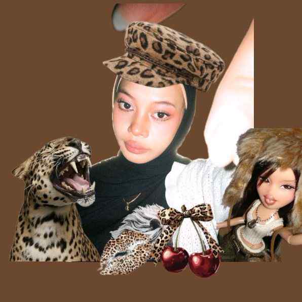 meilindaabeautycase