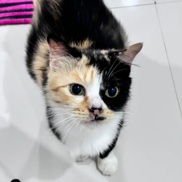mommy.kimi