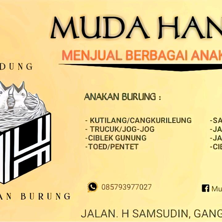 muda_hanjaya_birdshop