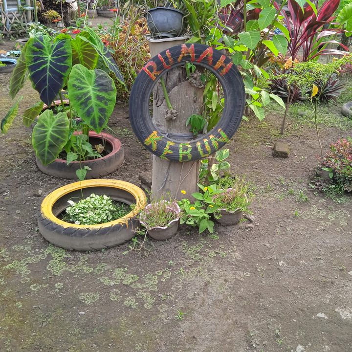 rumahkebun