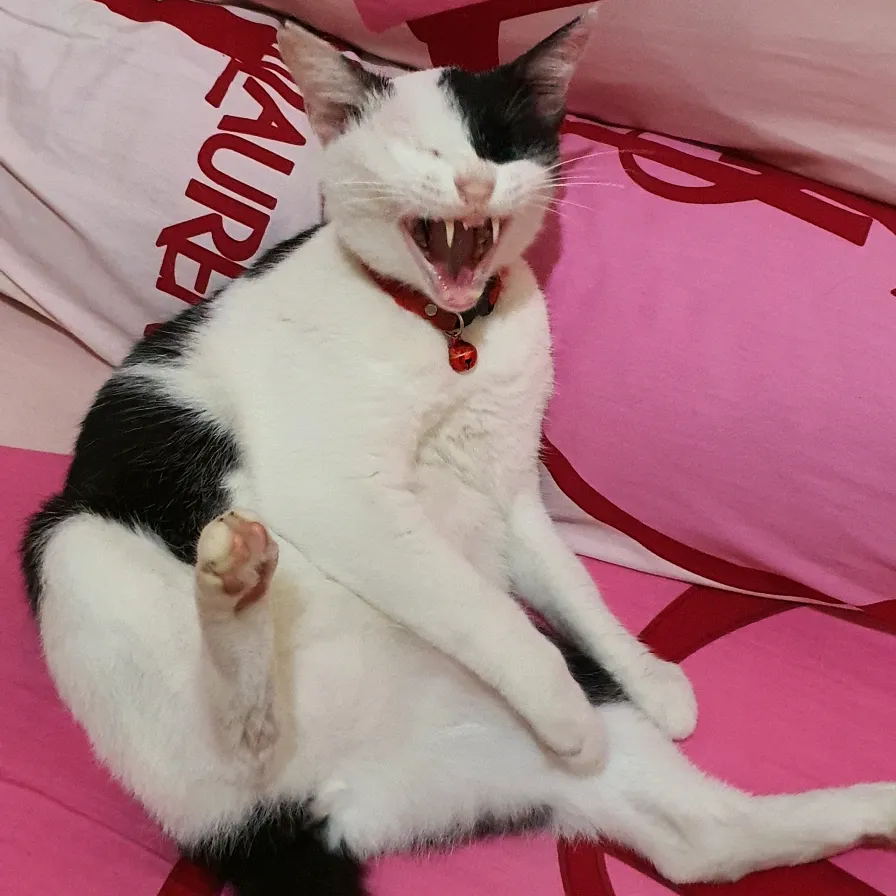 sbumitha