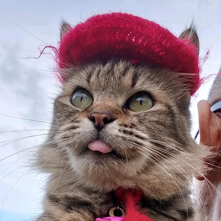 sisukanyanyikalengan